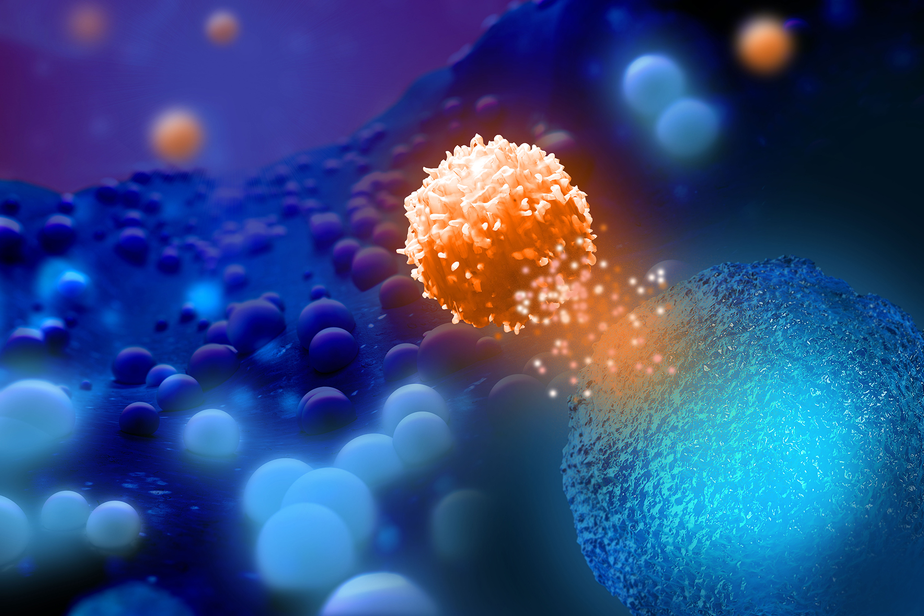 NK cell attacking tumor with granzyme B immune cells. CytoSite Bio copyrighted image.