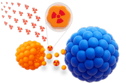 How CytoSite Bio's Radiotherapeutic Works. Step 5. Drug Attaches to Granzyme B