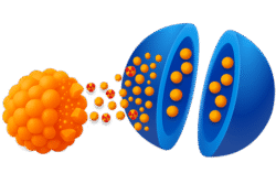 How CytoSite Bio's Radiotherapeutic Works. Step 8. Granzyme B Enters the Tumor
